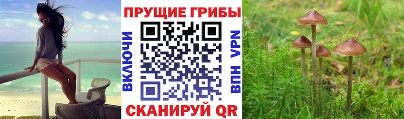 Галлюциногенные грибы Psilocybe  hydra ССЫЛКА  Краснокамск 